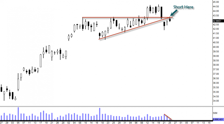 Come and $C Bear Attack
