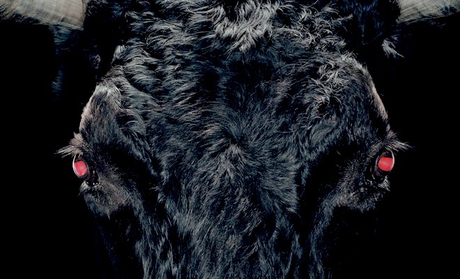 Facing the $AMZN Bulls Head-On -Part 2-