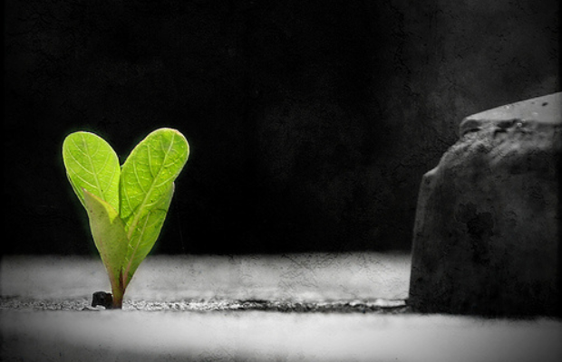 BIDU: New Life is Born