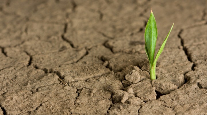 AAPL: ER & Check List