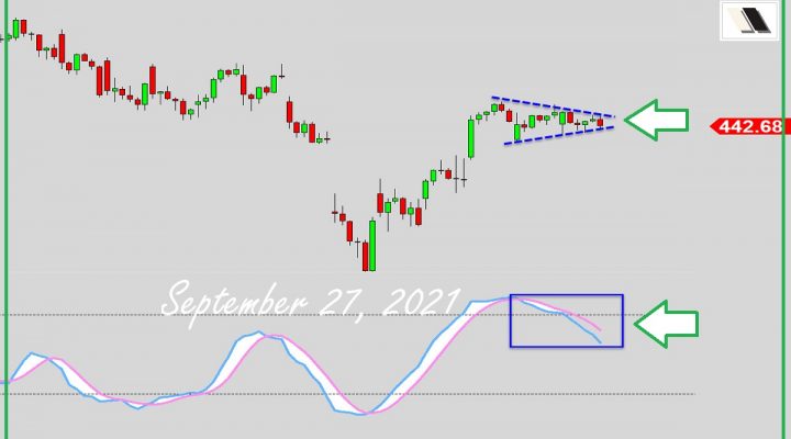 What Signal Is This?