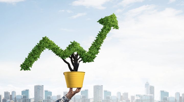 2021 End Of The Year Rally Coming?