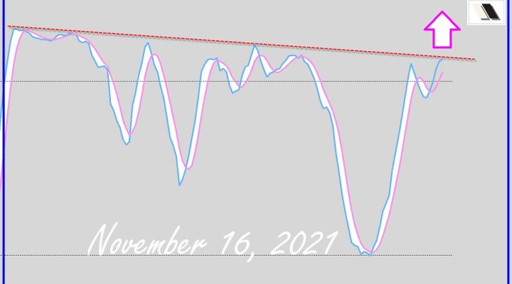 What The Bulls Need?