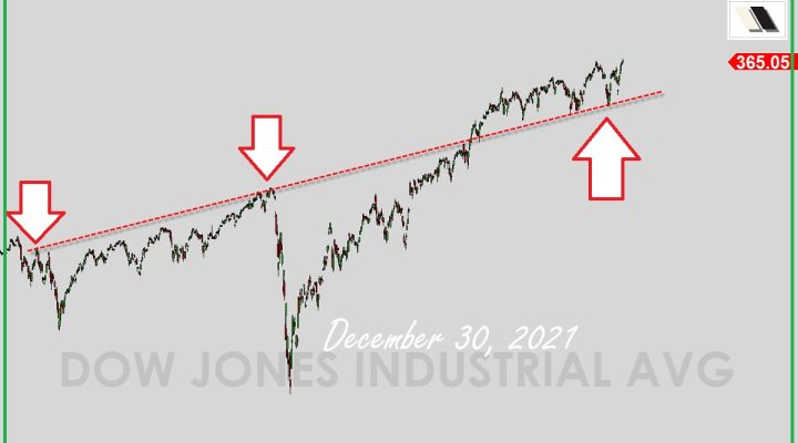 Special Analysis: 2022 Market Forecast*
