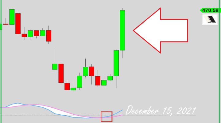 What Kind Of Shenanigan Is This!?