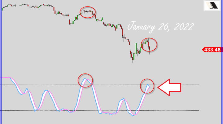 Bears Getting Ready?