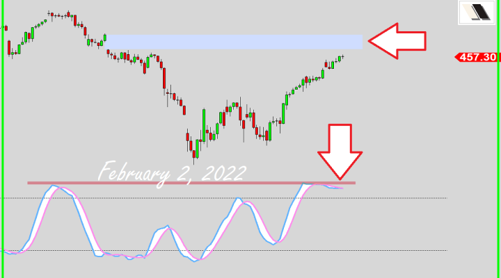 Bears Preparing For A Grand Re-Entrance?