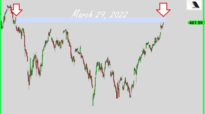 Bears One Last Chance?