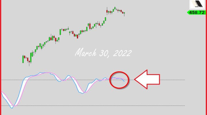 Bears Loading The Gun?