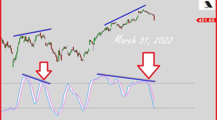 Boss Bear Coming Out?