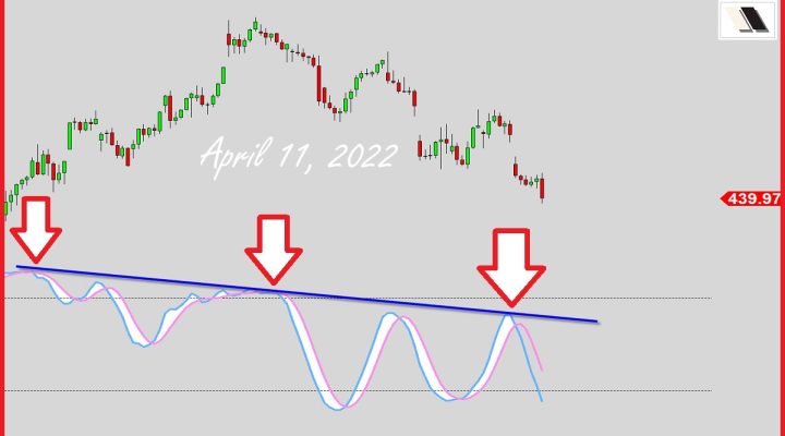 Bulls Trembling With Fear?