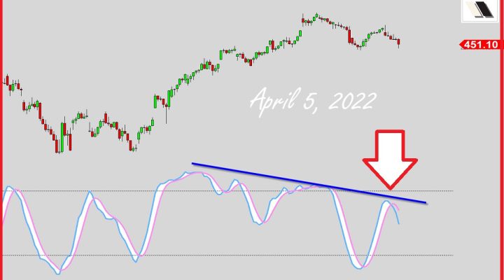 Boss Bears Attacking?