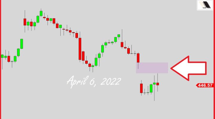 Bear-Troops Second Branch?