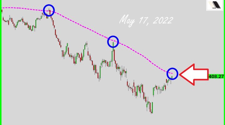 Battle With The Boss Bear?