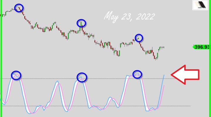 Last Chance To Surive?