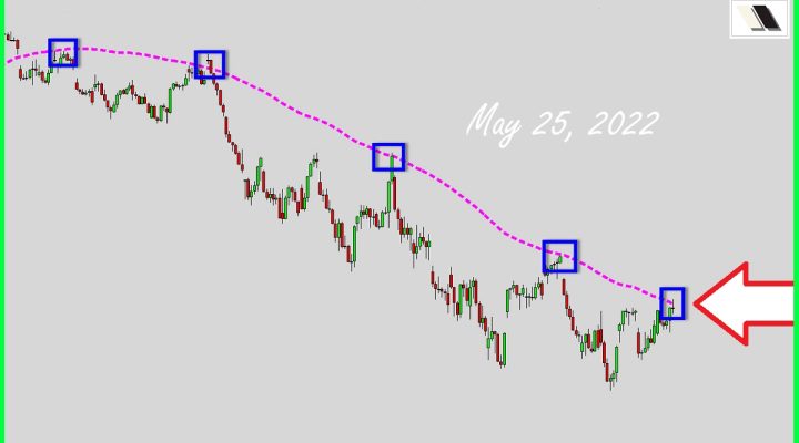 Bulls Arrived At Boss Bears’ Territory