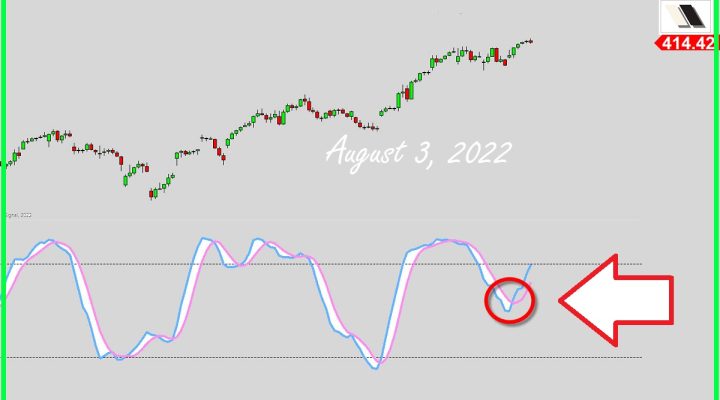 The Bulls Got Energy Left?