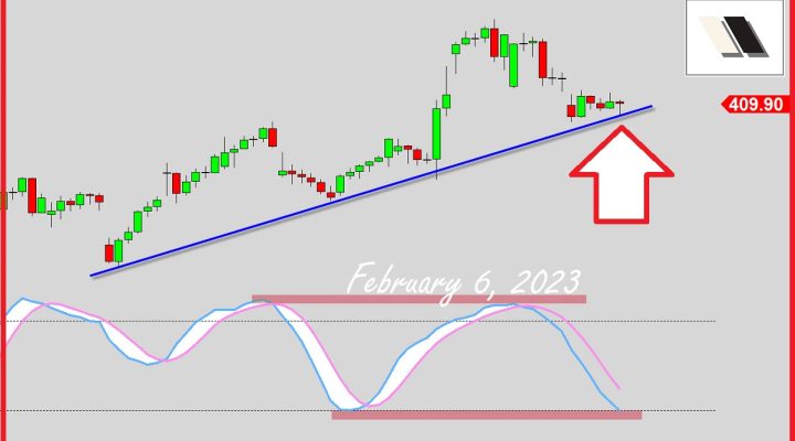 Bears Threatening To Crack This