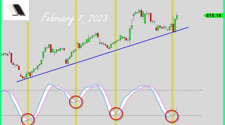 Bulls Just Declared War Against Boss Bears