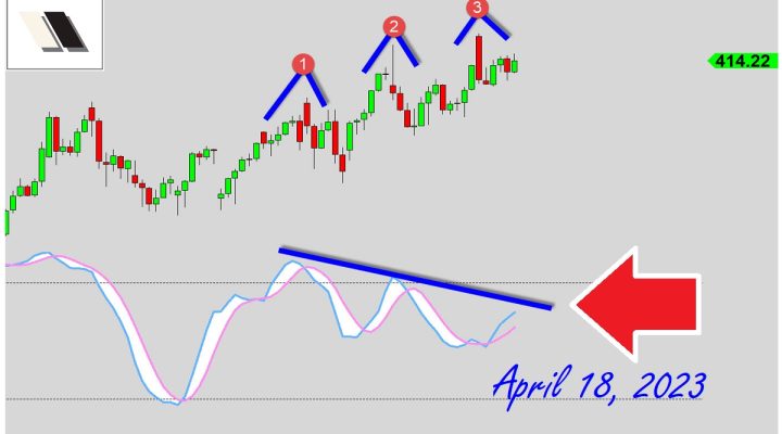 Bears Secretly Building This?