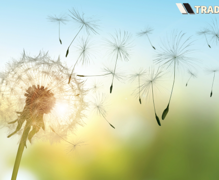 Why I’ve Been Accumulating AMZN This Year