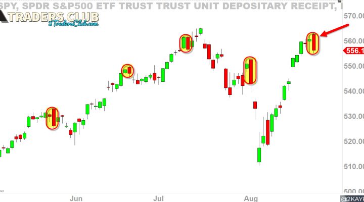 Boss Bears VS Ponzi Leeches *DAY 2*