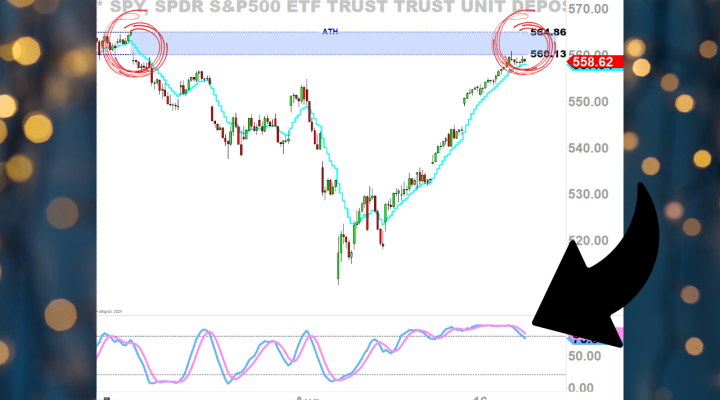 Boss Bears VS Ponzi Leeches